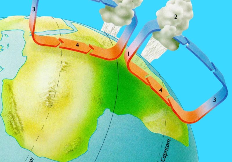Global Wind Cells Hadley Cell Diagram Atmospheric Wind